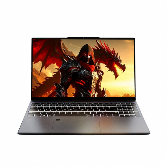 15.6“ Gaming Laptop Computer Wins 11