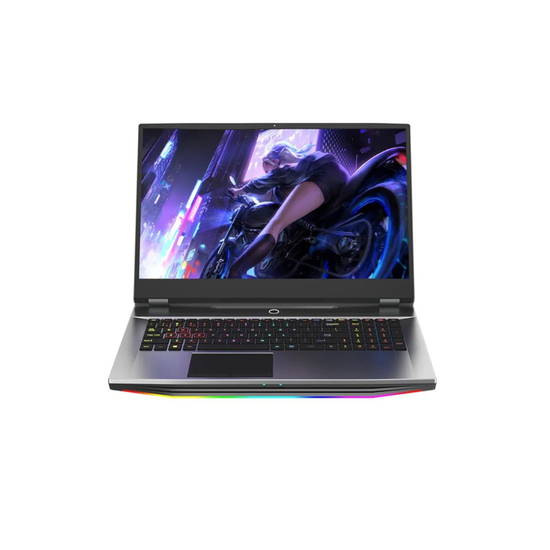 NWNLAP 17.3 inch FHD IPS Gaming Laptop - ElectronAge
