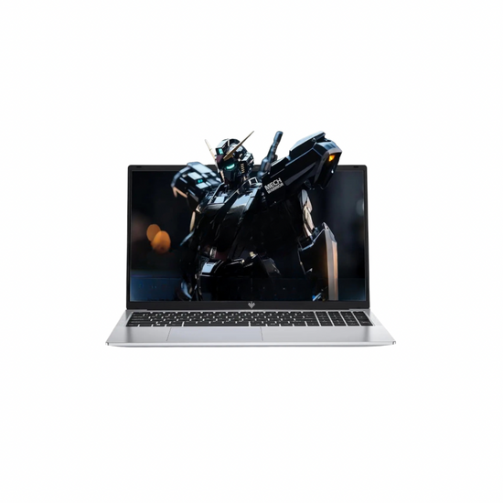 ACEMAGIC AX17Pro Laptop Computer - 17.3 IPS Display - ElectronAge