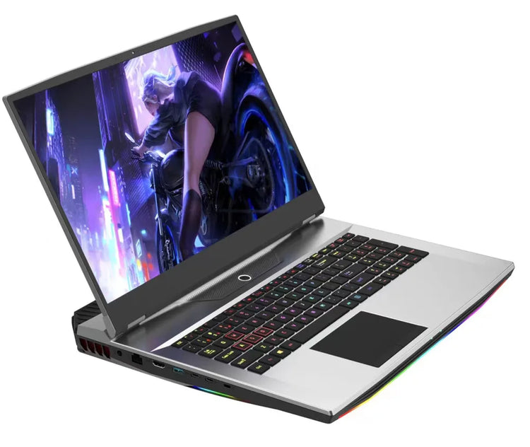 NWNLAP 17.3 inch FHD IPS Gaming Laptop - ElectronAge