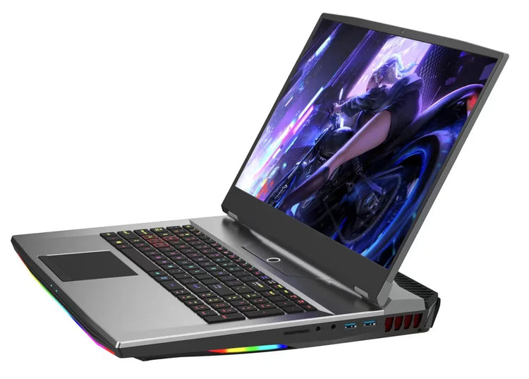 NWNLAP 17.3 inch FHD IPS Gaming Laptop - ElectronAge