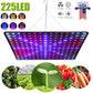 1000W Grow Light Led Full Spectrum Lamp 1500W 2000W Led Plant Light Bulb Greenhouses Indoor Phyto Lamp Grow Tent US EU UK Plug