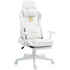 Dowinx Gaming Chair with Massage Lumbar Support - ElectronAge