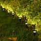 SolarPath Outdoor Solar Lights Pathway Patio Lawn Ground Lamp