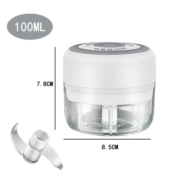 100ML/250ML Electric Meat Mincer Garlic Chopper - ElectronAge