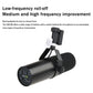 NILUNWEI SM7dB Dynamic Vocal Microphone With Optional Frequency Response - ElectronAge