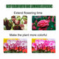 1000W Grow Light Led Full Spectrum Lamp 1500W 2000W Led Plant Light Bulb Greenhouses Indoor Phyto Lamp Grow Tent US EU UK Plug