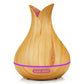 DELIXING 500ML Air Humidifier