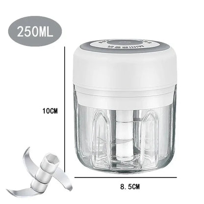 100ML/250ML Electric Meat Mincer Garlic Chopper - ElectronAge