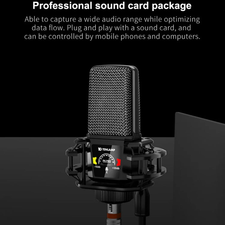 PKPRO Microphone Plug & Play - ElectronAge