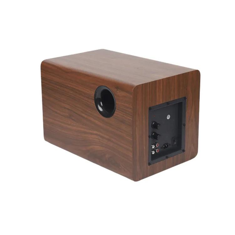 LISM 6.5 Inch Active Heavy Subwoofer - ElectronAge