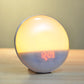 Niditon Wake Up Light Alarm Clock - ElectronAge