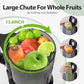 Aeitto Cold Press Juicer Machine with Wide Feed Chute for Whole Fruits Masticating Juice Extractor in Silver High Juice Yield E - ElectronAge