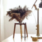 Ostrich Feather Duster