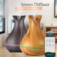DELIXING 500ML Air Humidifier