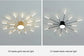 AuroraRealm Creative Fan Shaped LED Ceiling Lamp