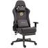 Dowinx Gaming Chair with Massage Lumbar Support - ElectronAge