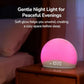 Sunrise Alarm Clock Radio - ElectronAge