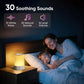 Sunrise Wake Up Light Alarm Clock - ElectronAge