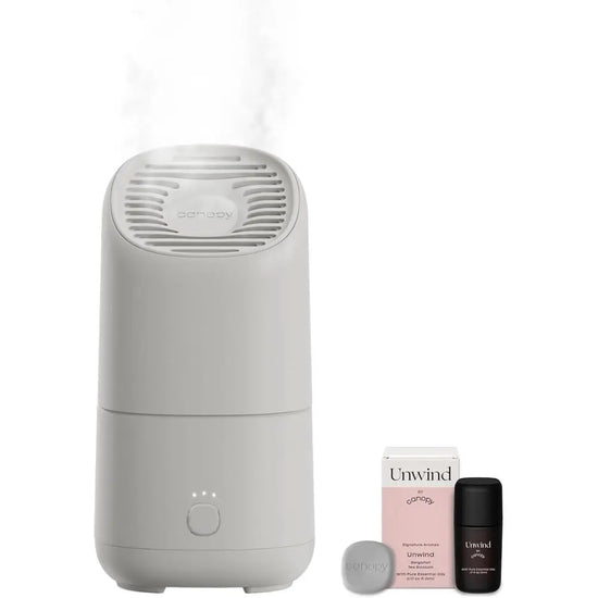 Portable Misting Fan - Long Battery Life, 500ml, Air Travel Friendly - Relieve Allergies, Sinus, Cold, Dry Skin - Aromatherapy a