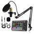 UV color stripe/dynamic microphone professional audio mixer - ElectronAge