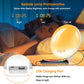 Niditon Wake Up Light Alarm Clock - ElectronAge