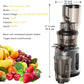 BioloMix Cold Press Juicer with 75mm Feed Chute, 200W 40-65RPM Powerful Motor Slow Masticating Juice Extractor Fits Whole Fruits - ElectronAge