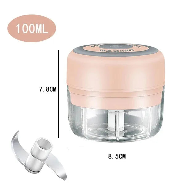 100ML/250ML Electric Meat Mincer Garlic Chopper - ElectronAge
