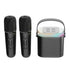 Mini Karaoke Machine LED Portable Bluetooth Speaker - ElectronAge