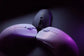 WLMOUSE Wireless Esports Mouse - ElectronAge