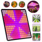 1000W Grow Light Led Full Spectrum Lamp 1500W 2000W Led Plant Light Bulb Greenhouses Indoor Phyto Lamp Grow Tent US EU UK Plug