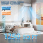 Acekool 3in1 Cooling Heating Dehumidifier 18000 BTU - ElectronAge