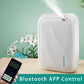 Timing Scent Air Machine Hotel Aroma Diffuser 140ML Wall Mounted Essential Oil Diffuser For Home Fragrance Bluetooth APP Control