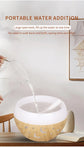 SereneScents USB Ultrasonic Cool Mist Sprayer