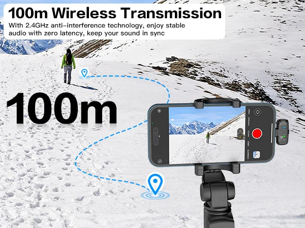 ZealSound Wireless Microphone with Transparent Shell - ElectronAge