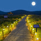 SolarPath Outdoor Solar Lights Pathway Patio Lawn Ground Lamp
