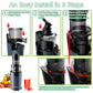 BioloMix Cold Press Juicer with 78mm Feed Chute, 200W 40-65RPM Powerful Motor Slow Masticating Juice Extractor Fits Whole Fruits - ElectronAge