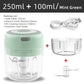 100ML/250ML Electric Meat Mincer Garlic Chopper - ElectronAge