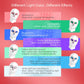7 Color LED Facial Mask Face and Neck Photon Skin Rejuvenation Whitening Tighten Rechargeable Neck Face Care Beauty Treatment