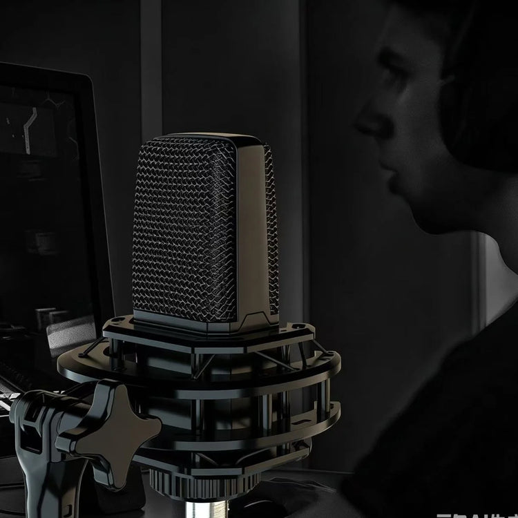 PKPRO Microphone Plug & Play - ElectronAge