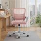 MCQ Fixed Armrest Office Desk Chair - ElectronAge