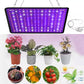 1000W Grow Light Led Full Spectrum Lamp 1500W 2000W Led Plant Light Bulb Greenhouses Indoor Phyto Lamp Grow Tent US EU UK Plug