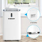 Renogy 14,000 BTU Portable Air Conditioners - ElectronAge