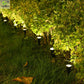 SolarPath Outdoor Solar Lights Pathway Patio Lawn Ground Lamp