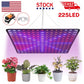 1000W Grow Light Led Full Spectrum Lamp 1500W 2000W Led Plant Light Bulb Greenhouses Indoor Phyto Lamp Grow Tent US EU UK Plug