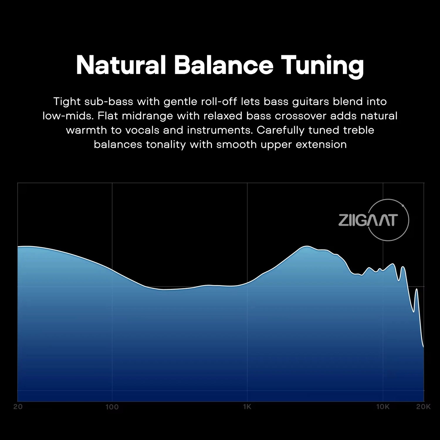 ZiiGaat Horizon Tribrid IEM Earphones - ElectronAge
