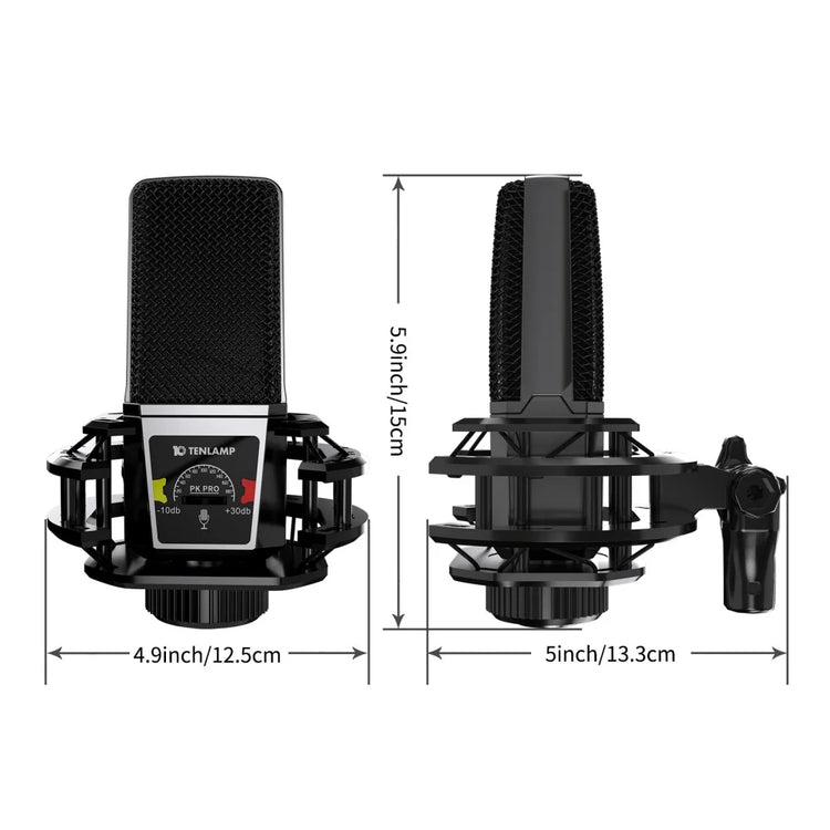 PKPRO Microphone Plug & Play - ElectronAge