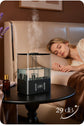 6L Professional Large Capacity Household Silent Air Humidifier Plant Spray Aroma Diffuser Ultrasonic Water Mist Diffuser