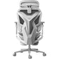 Ergonomic Gaming Chair - 3-Zone Lumbar Support - ElectronAge