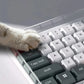 **78/108 Keys Acrylic Transparent Dust-Proof Keyboard Case Mechanical Keyboard Dust Cover For E-Sports Computer Gamer